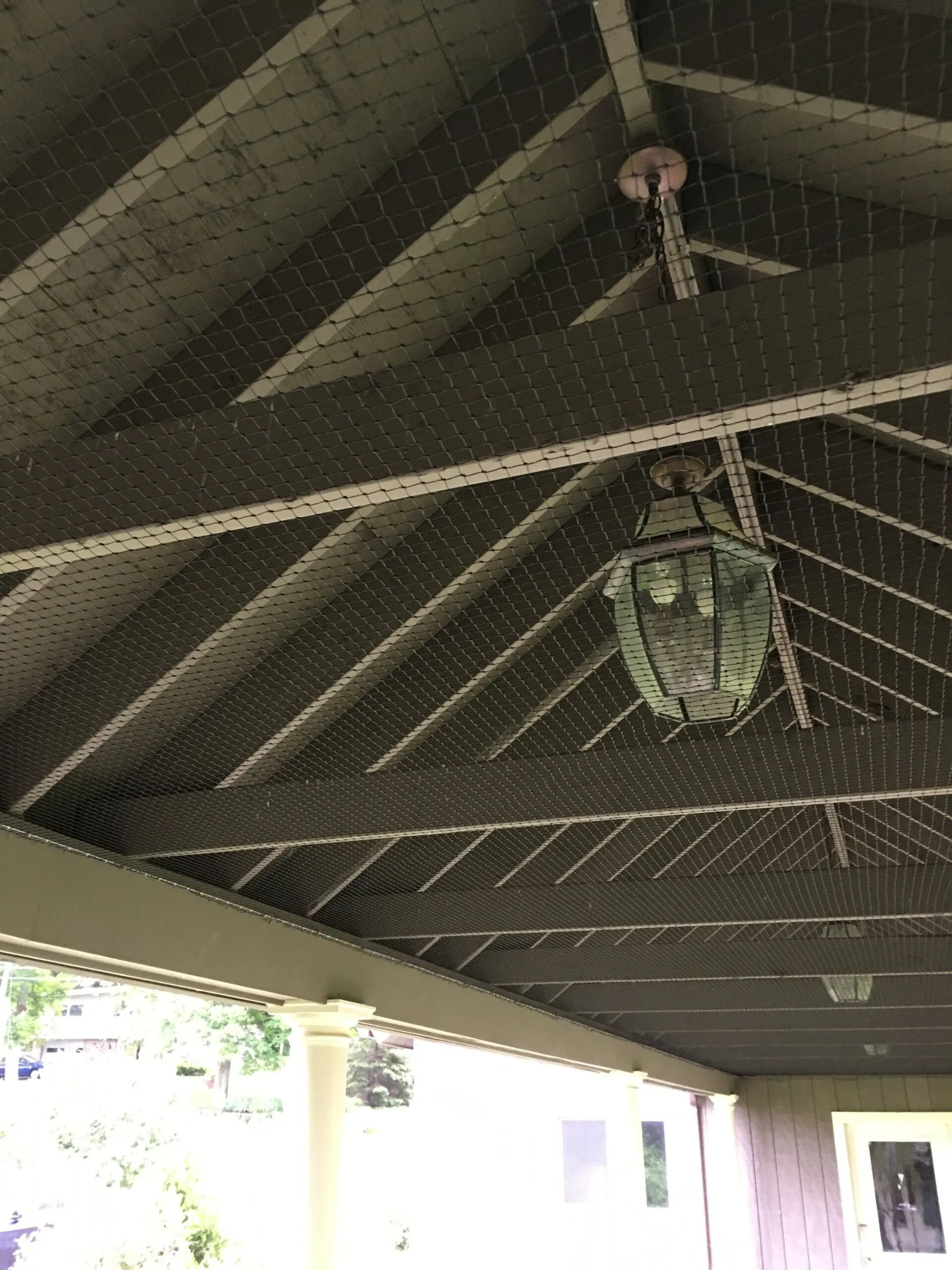 Bird Net Exlusion - Acorn Wildlife Solutions - Russell, MA