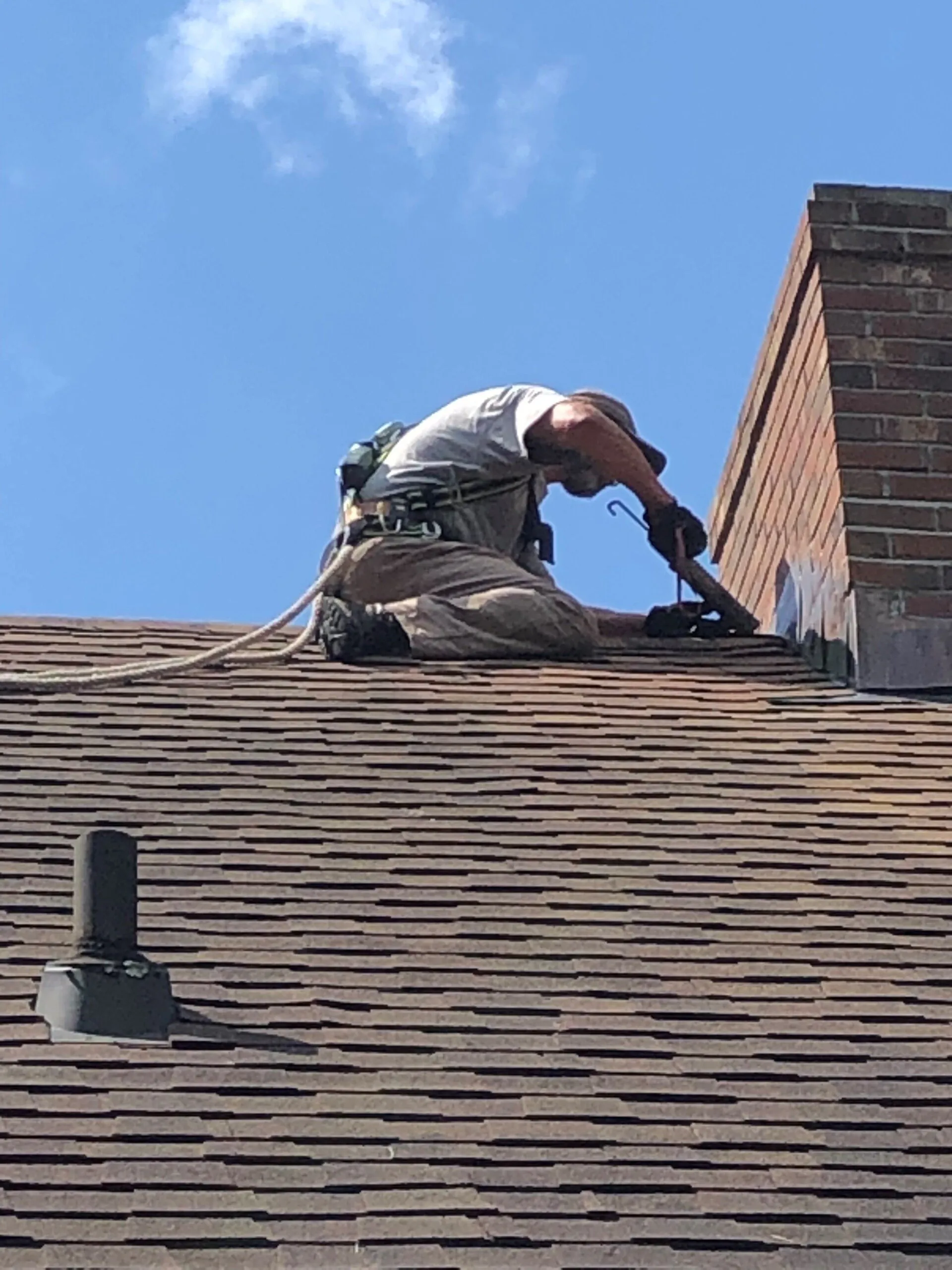 On site Roof Securing - Acorn Wildlife Solutions - Russell, MA