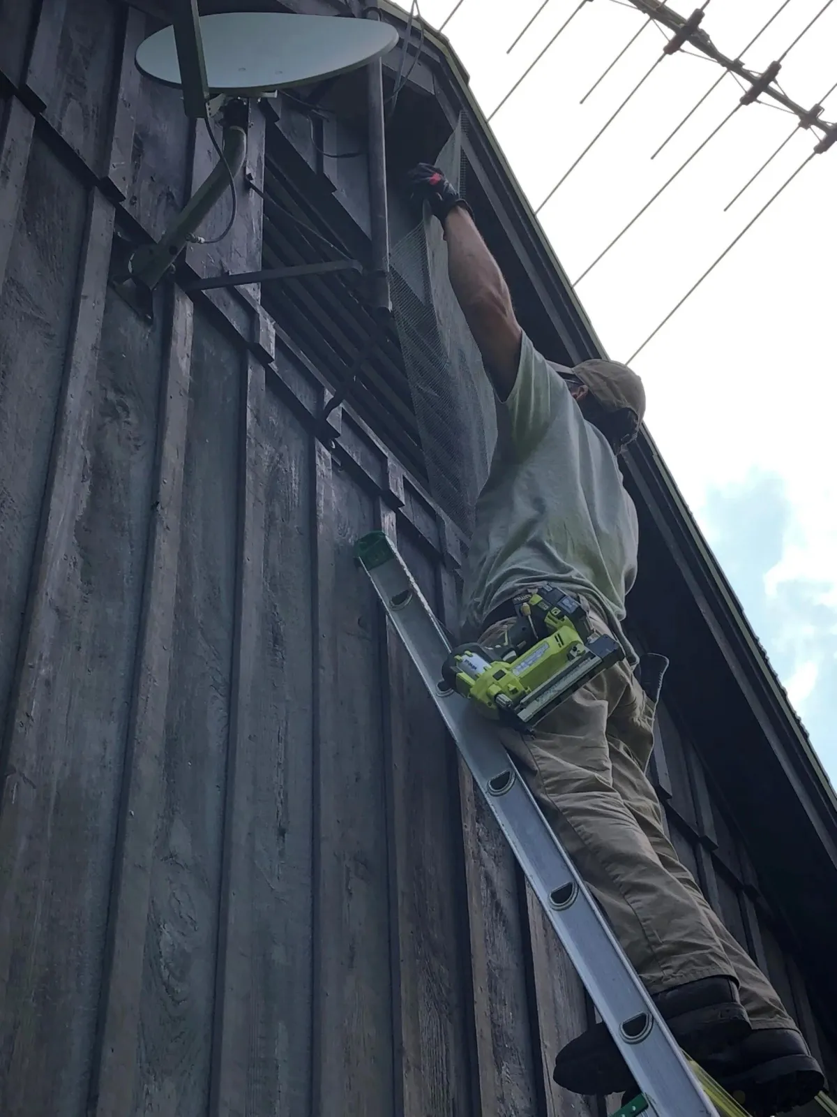 Outside Exclusion Work - Acorn Wildlife Solutions - Russell, MA