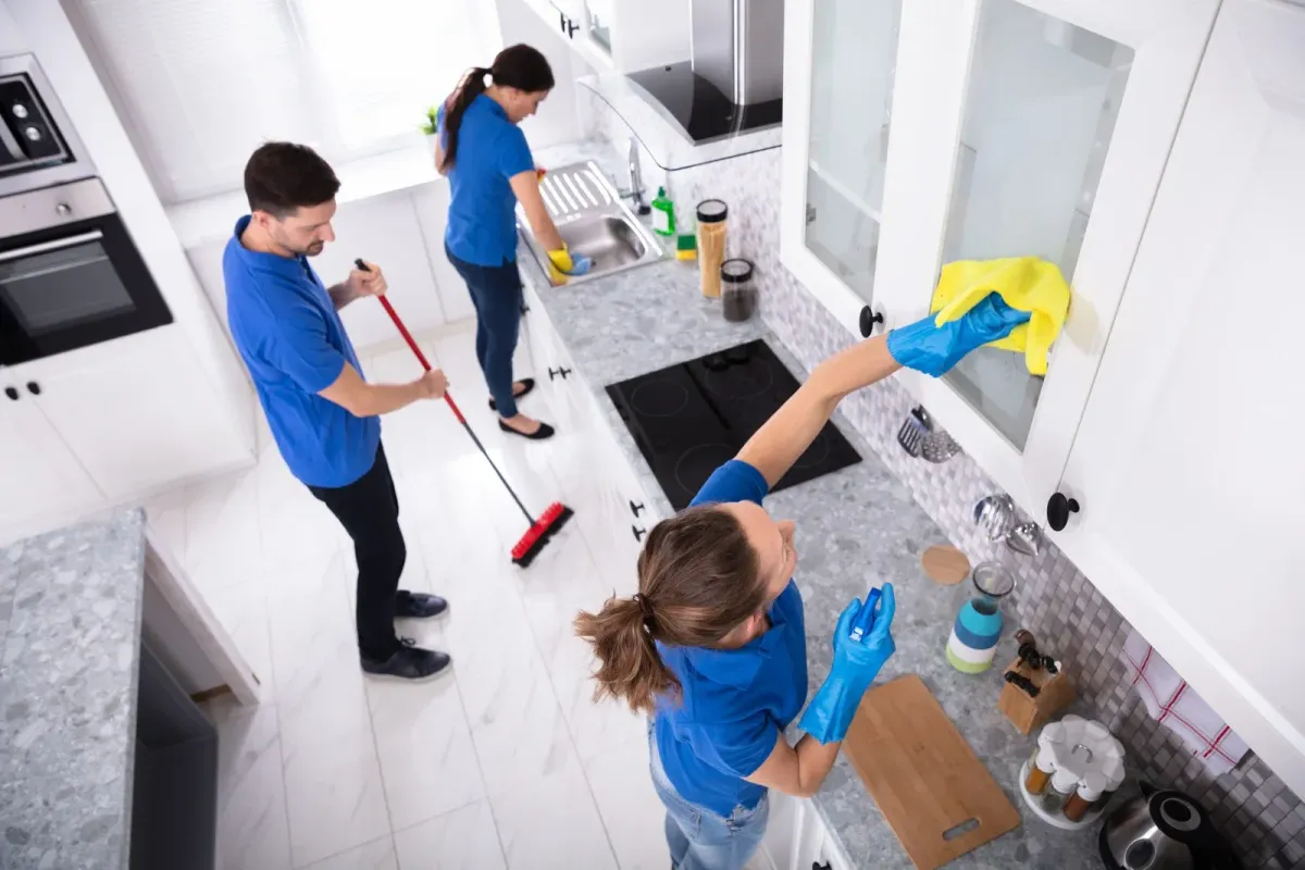 Gutter Cleaning
