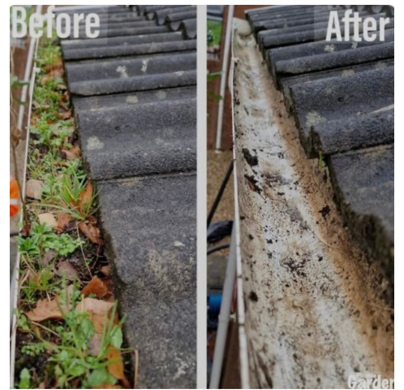 Professional gutter cleaning service on residential home