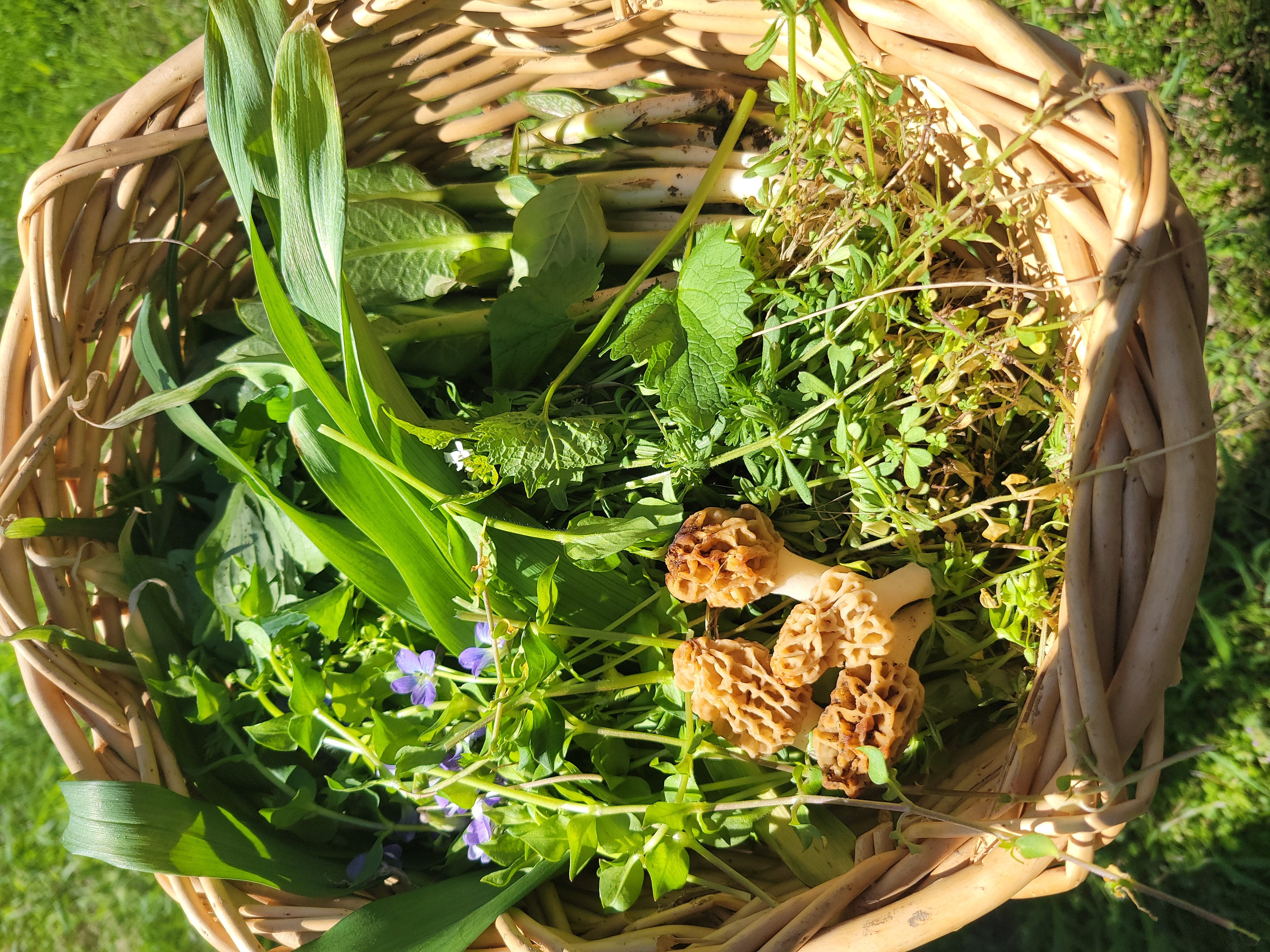 Sturdy boots and a field notebook ready for foraging