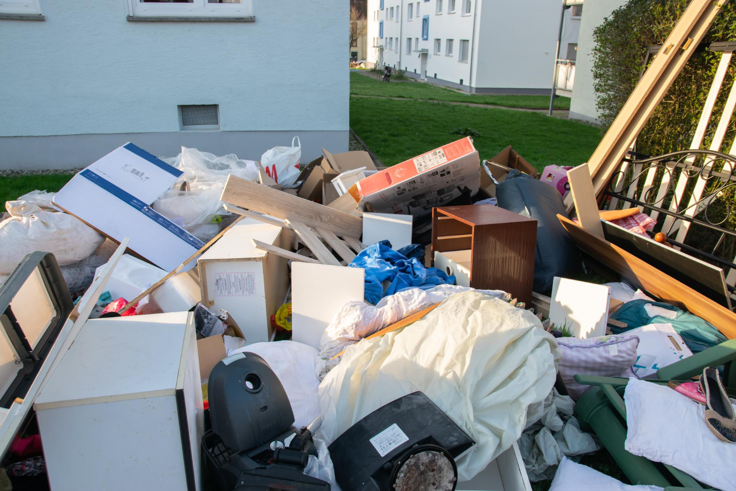 hoarding cleanup