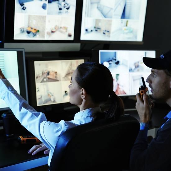 Video Surveillance Companies
