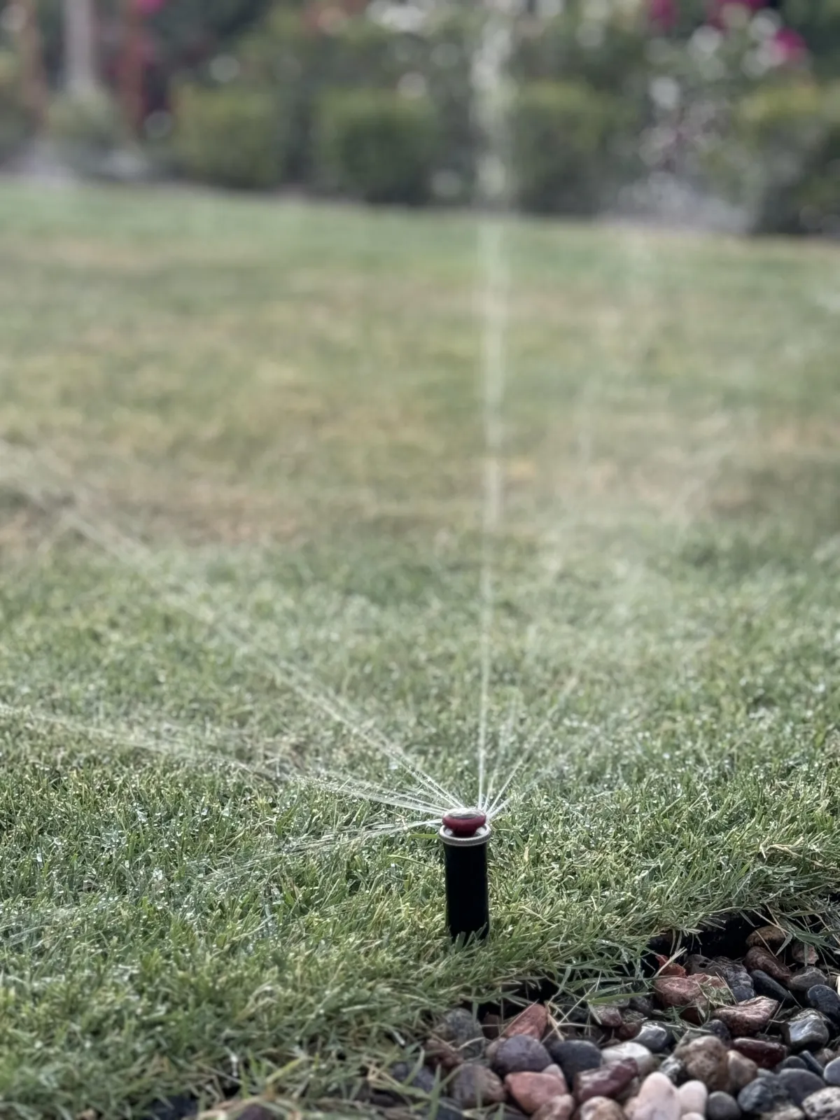 Sprinkler Repair in Queen creek