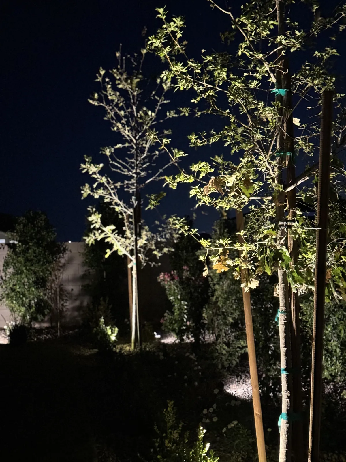 Gilbert Outdoor Lighting