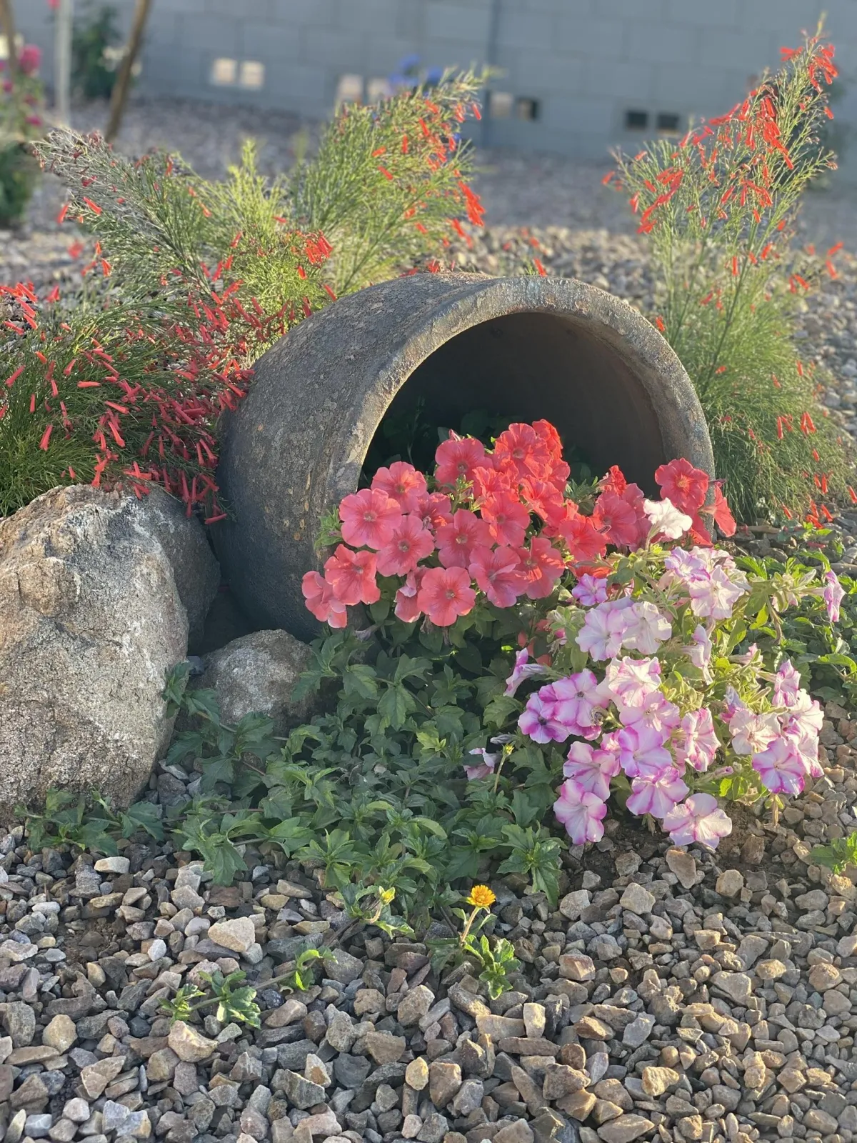 Queen creek Sprinkler Repair