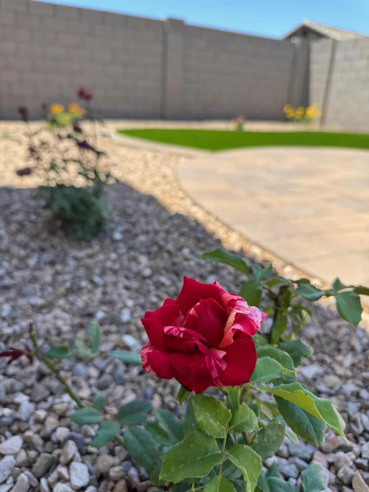 Queen creek Paver Installation