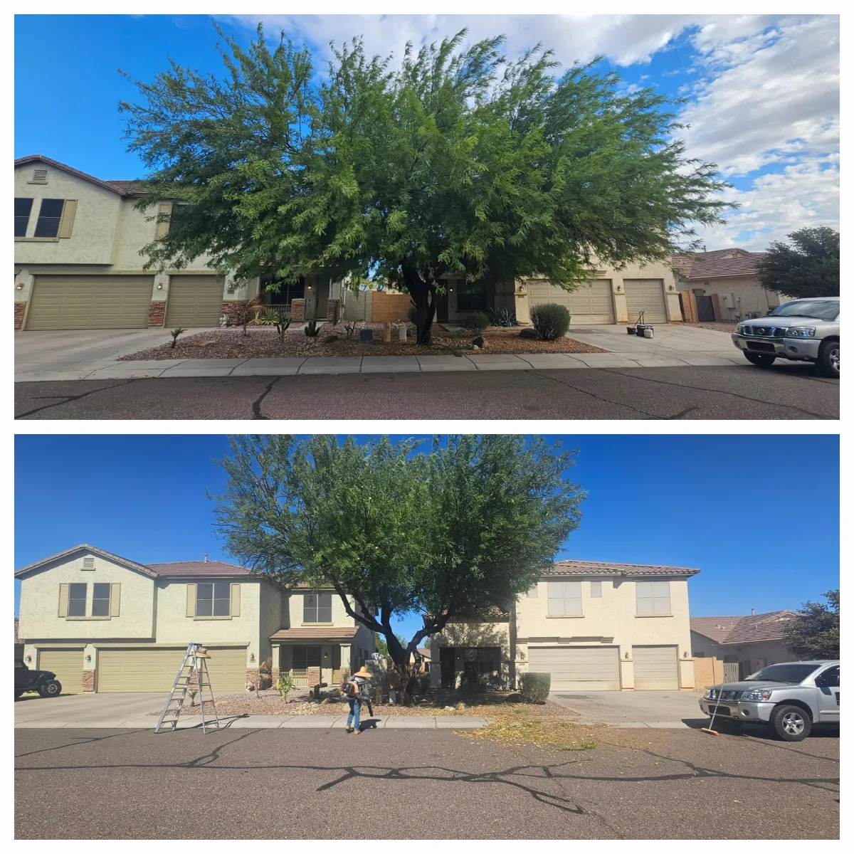Santan Valley Landscaping Maintenance