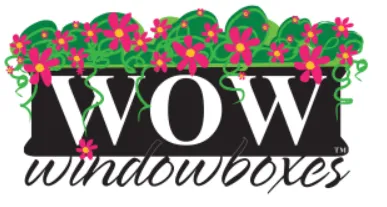 Wow Windowboxes Franchise