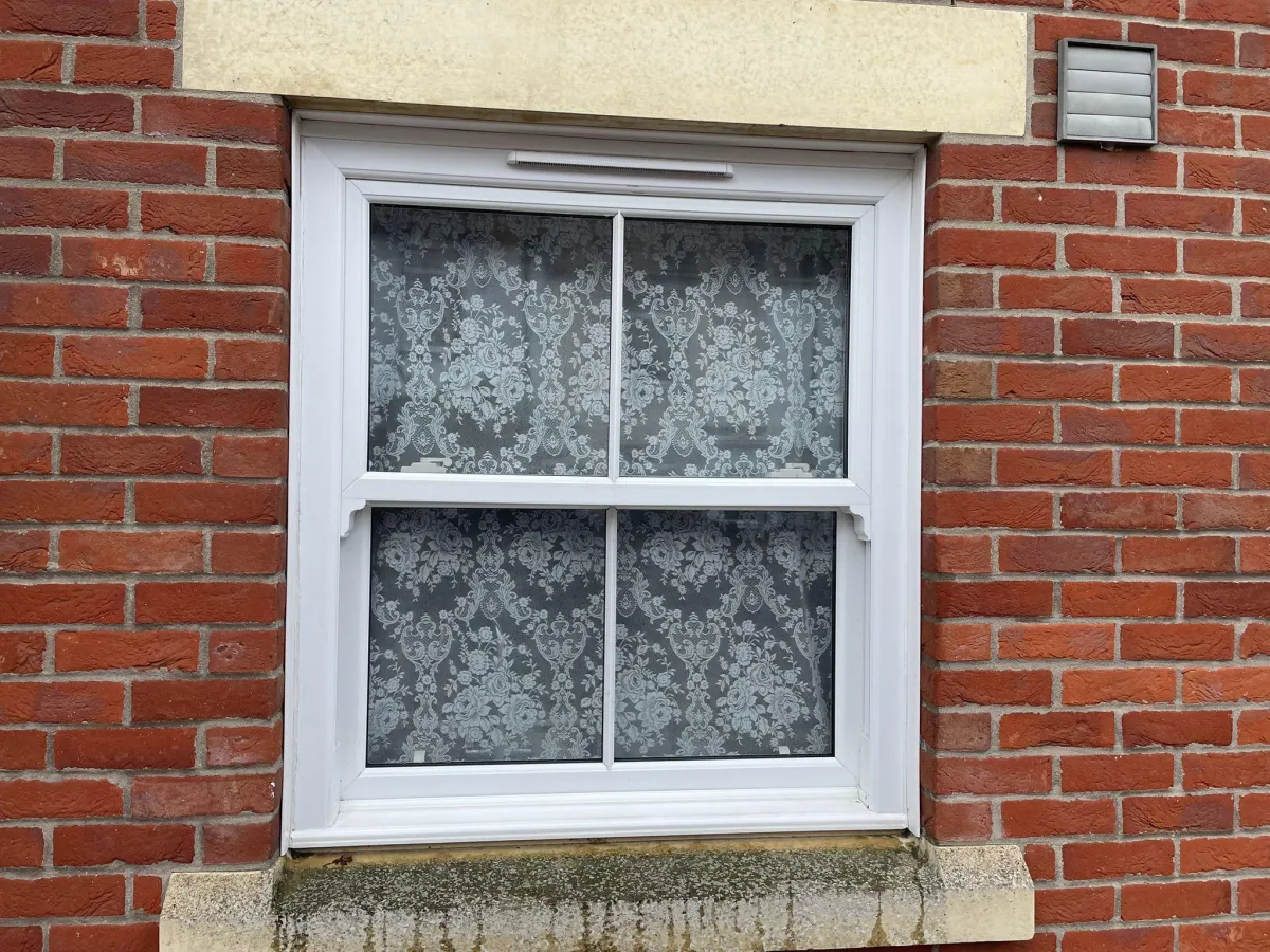 Empty room with two windows lit by sunlight.