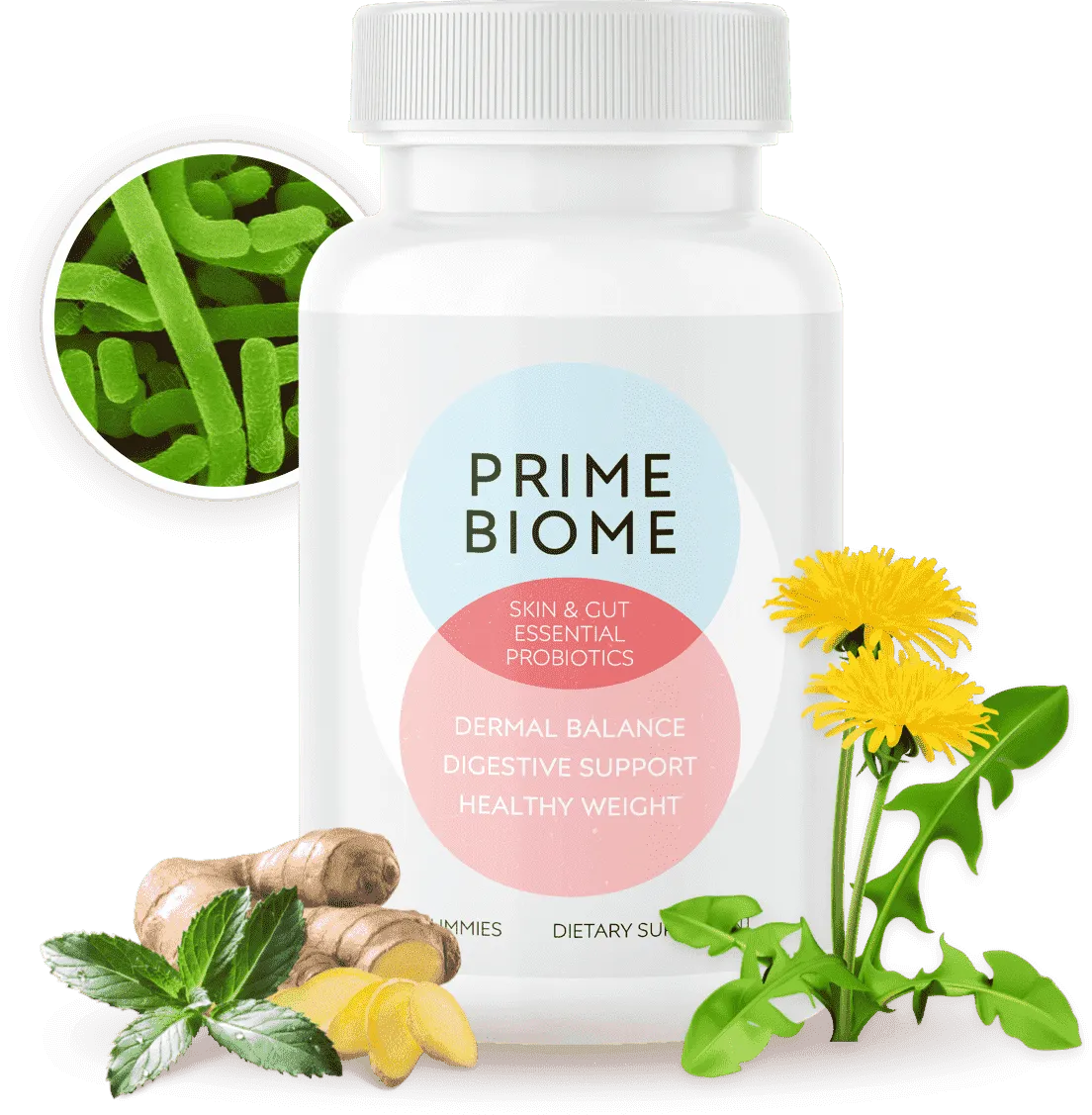 Prime Biome Hero Image