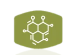 Nerve Fresh Icon 2
