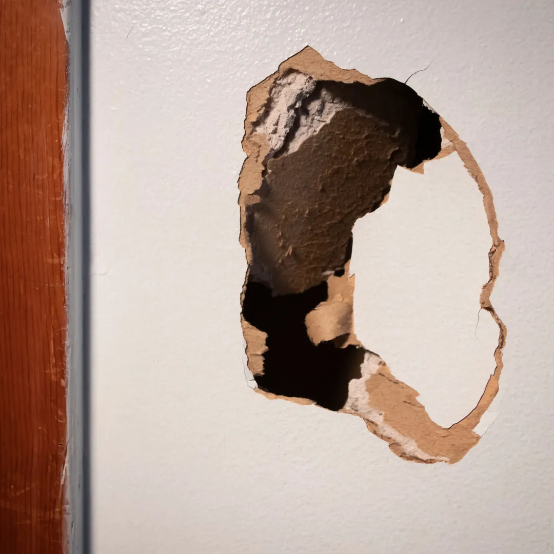 drywall repair crofton md