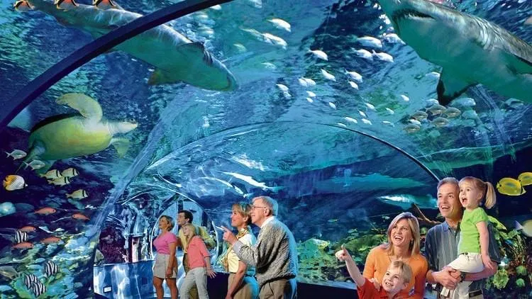 Limo Service to Ripley’s Aquarium of Canada