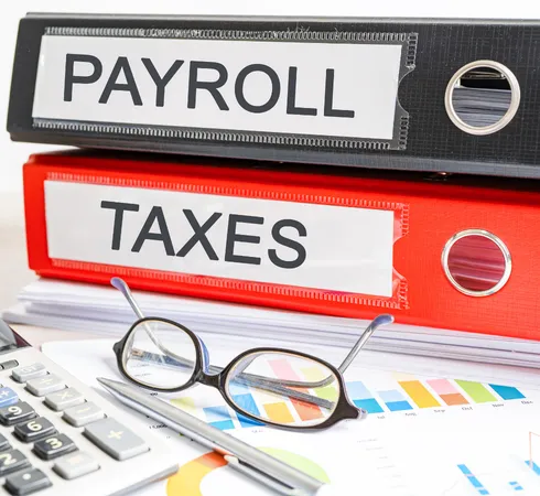 Organized bookkeeping records and financial reports for business accounting