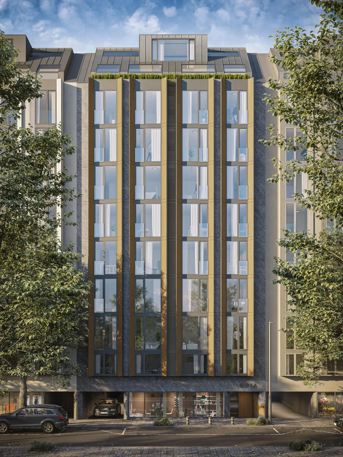 summer picture of render OPIA case study