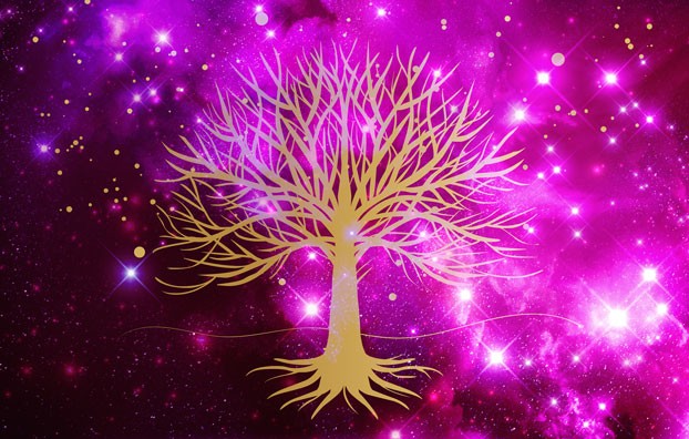 Welcome to the first Rozy Coloured Co-Creation: A yoga-based practice for anchoring the tools shared in the weekly Rozy Coloured Magic video series