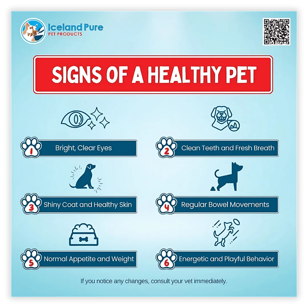 Inforgraphics - Iceland Pure Post Sign of a Healthy Pet 