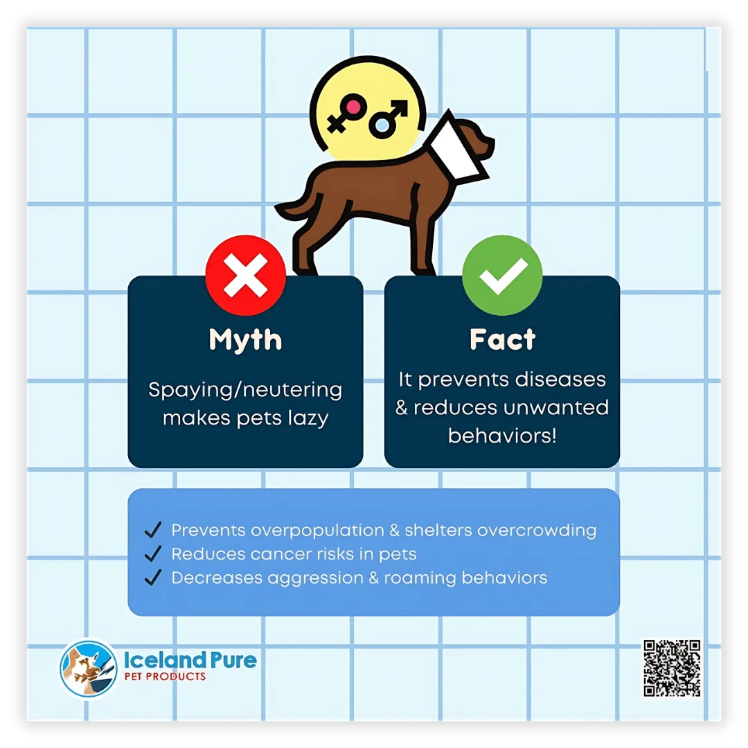Inforgraphics - Iceland Pure Post Myth & Fact 