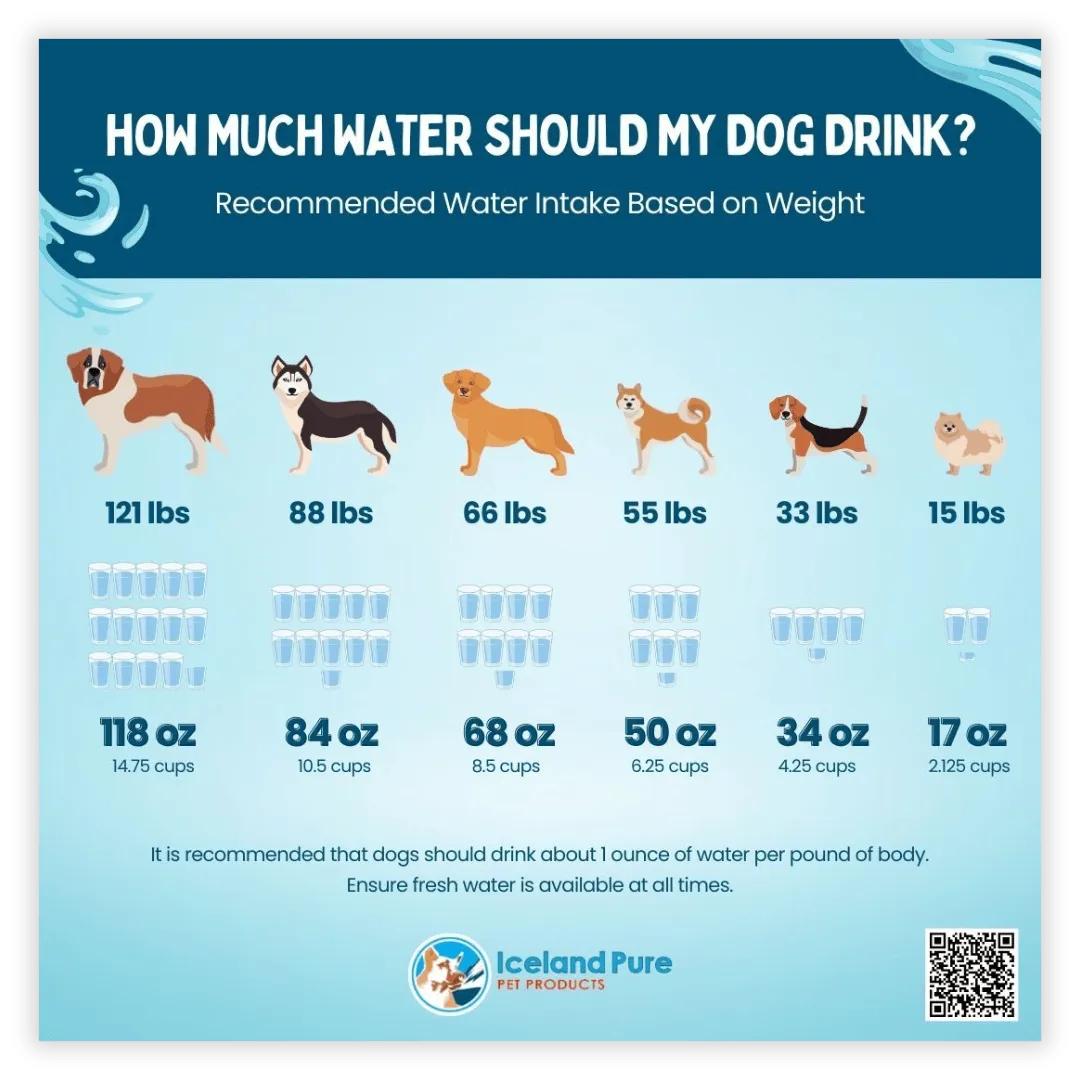 Inforgraphics - Iceland Pure Post How much water should my dog drink