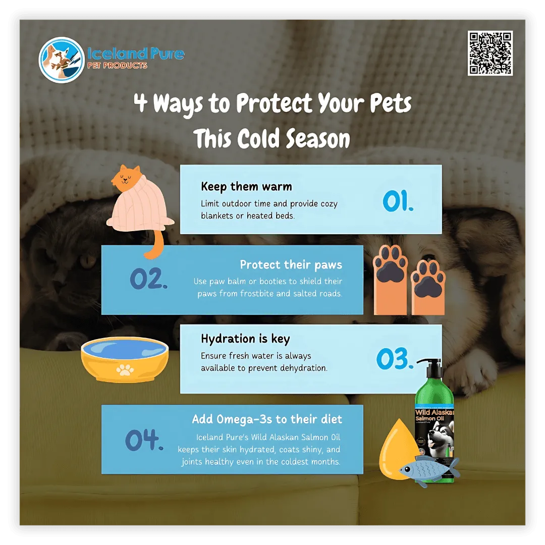 Inforgraphics - Iceland Pure Post 4 ways to protect your pet this cold season 