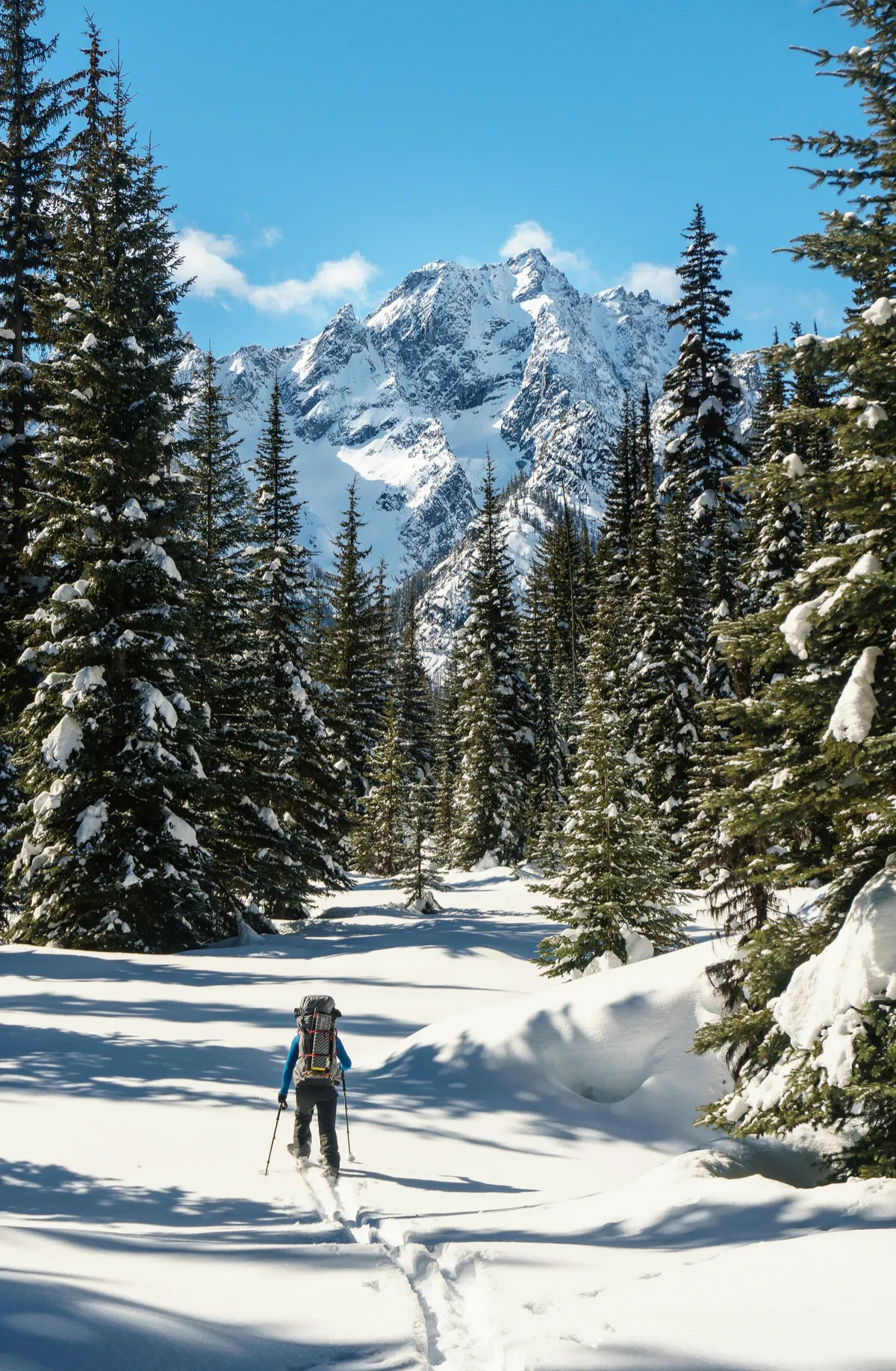 SKI Travel Consultant 