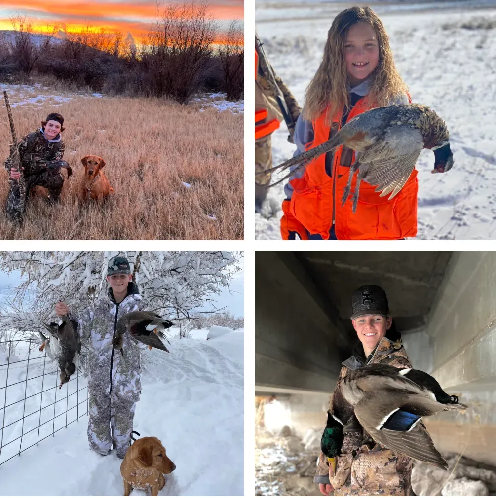 collage of bird hunting photos