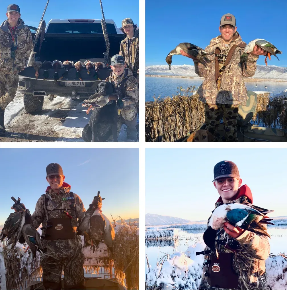 collage of bird hunting photos