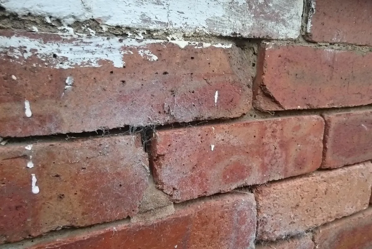 Many Housing Disrepair Cases Involve Multiple Underlying Defects
