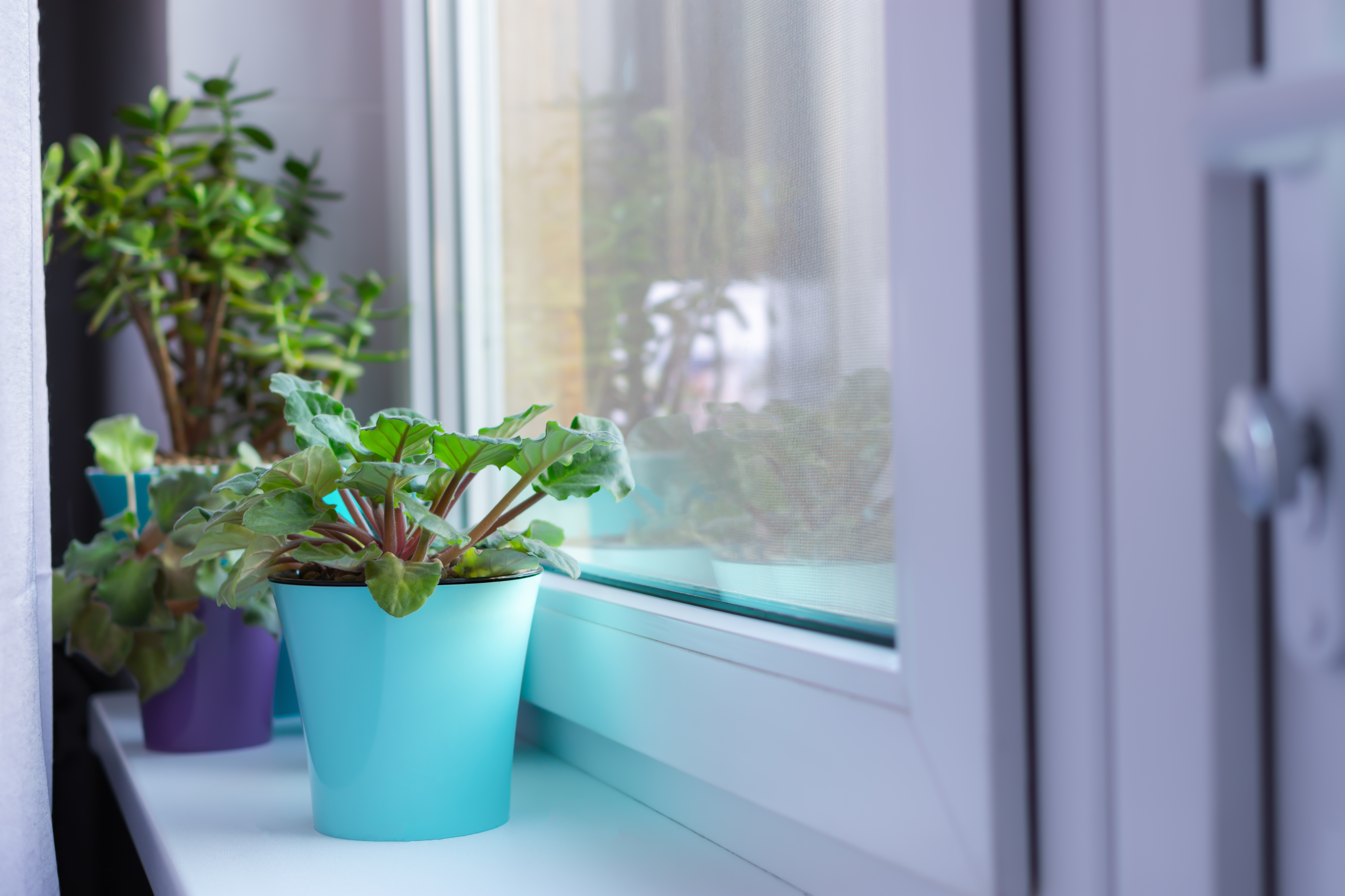 Why Trickle Vents Should Never Be Overlooked During Property Inspections