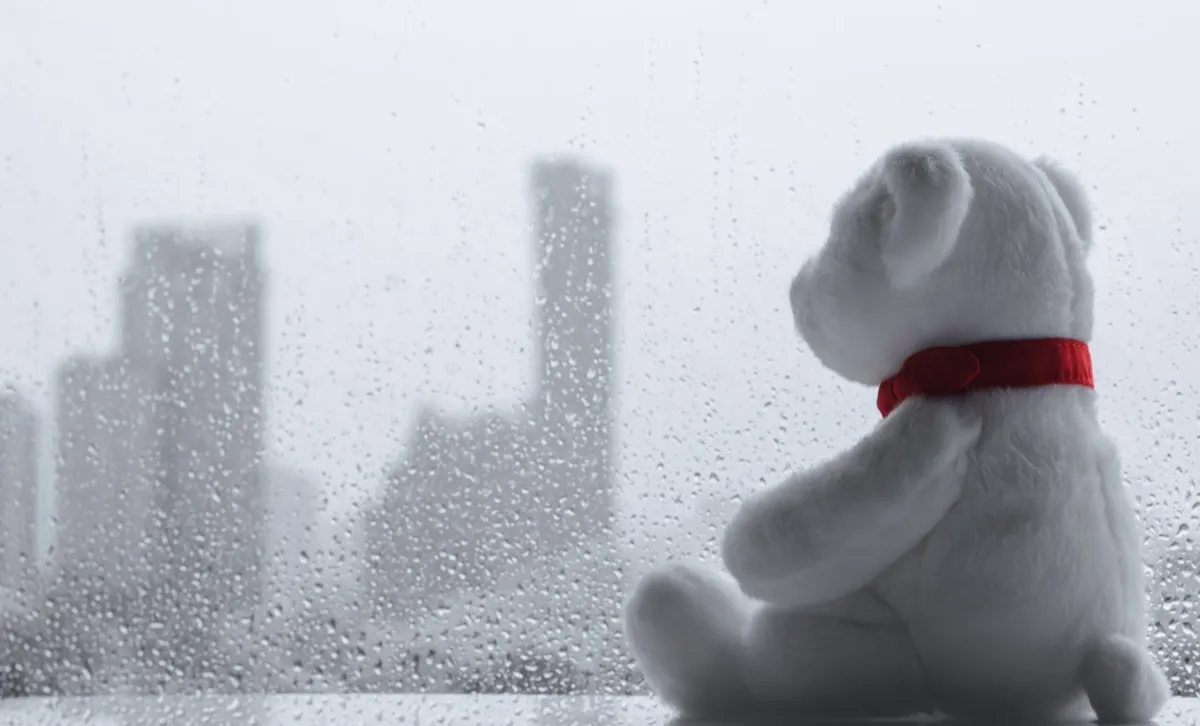 Damp, Mould and Resident Safety | Awaab Comply