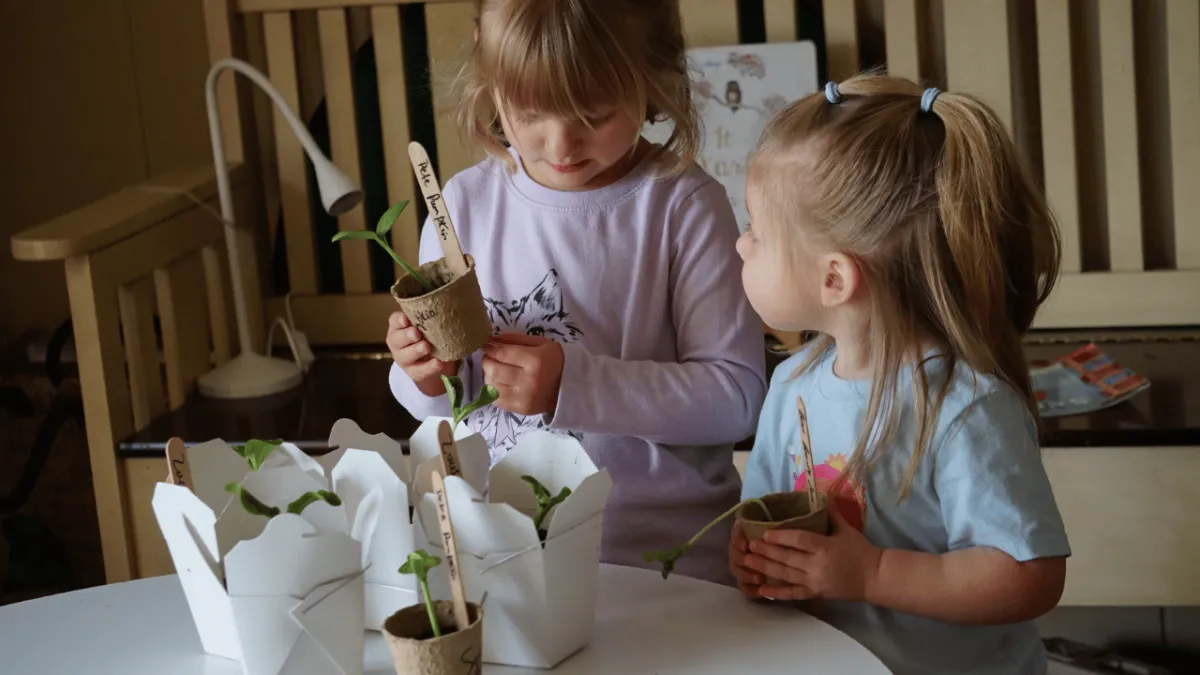 children holding seedlings in home childcare