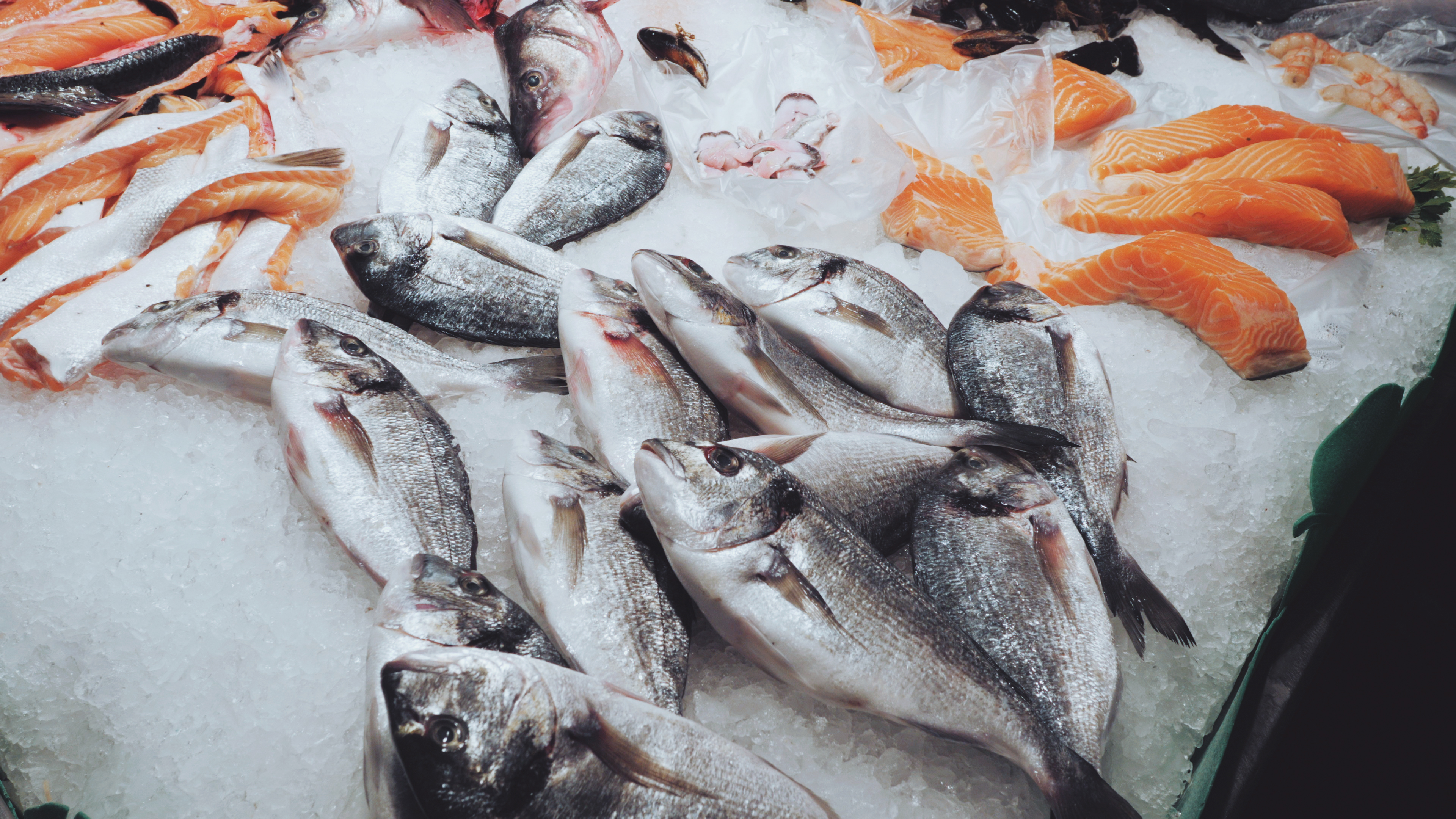 market fish on ice