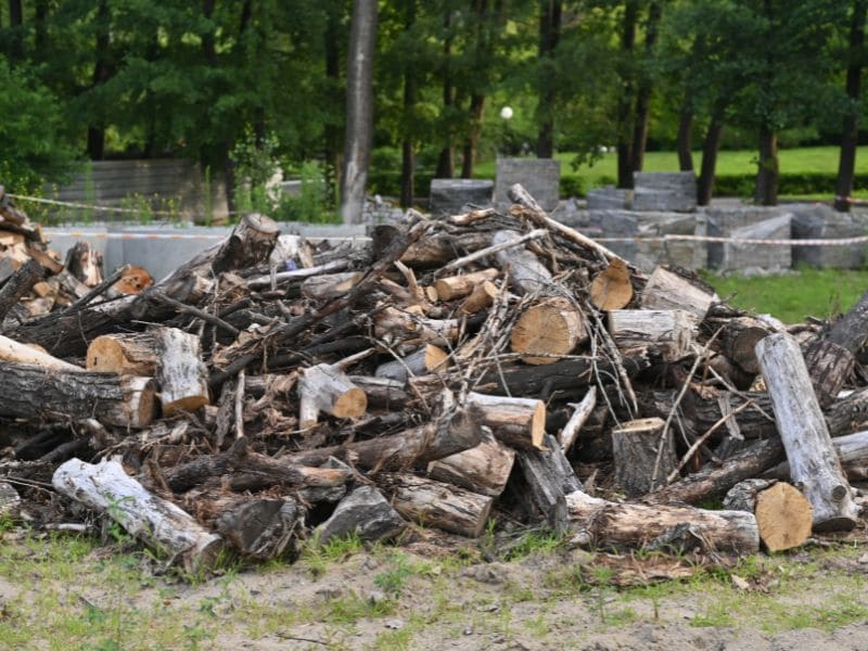Washington County Junk Removal Yard Debris
