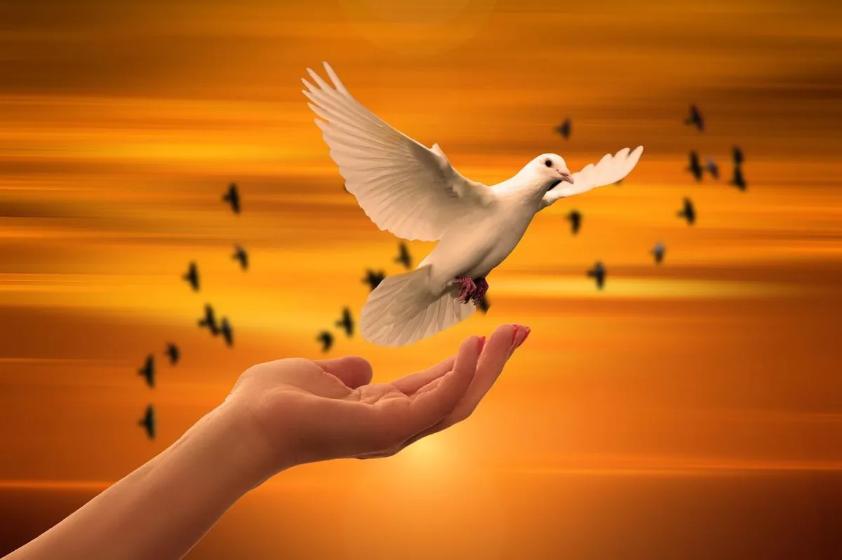 bird flying from hand