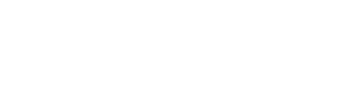 img-logo-detalfirst