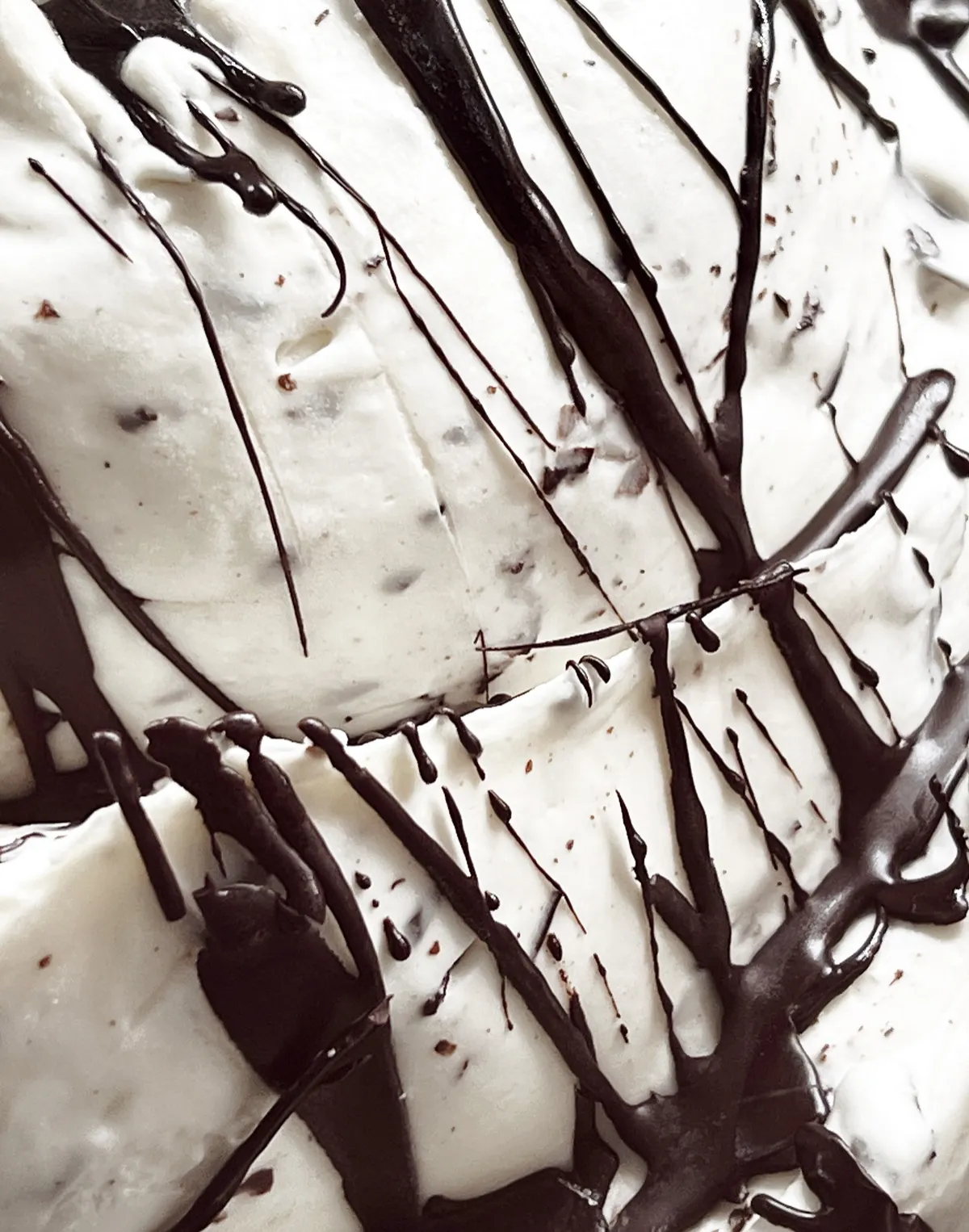 Chocolate Chip