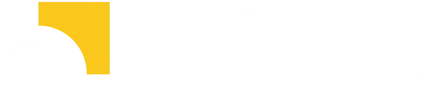 Social University
