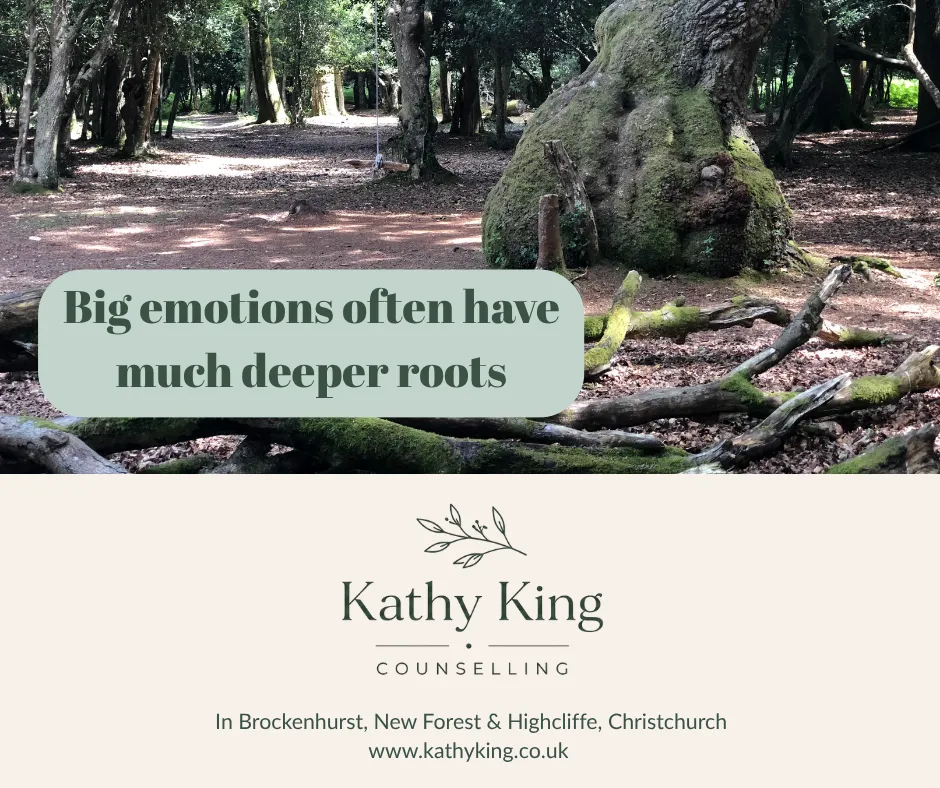 big roots in new forest trees