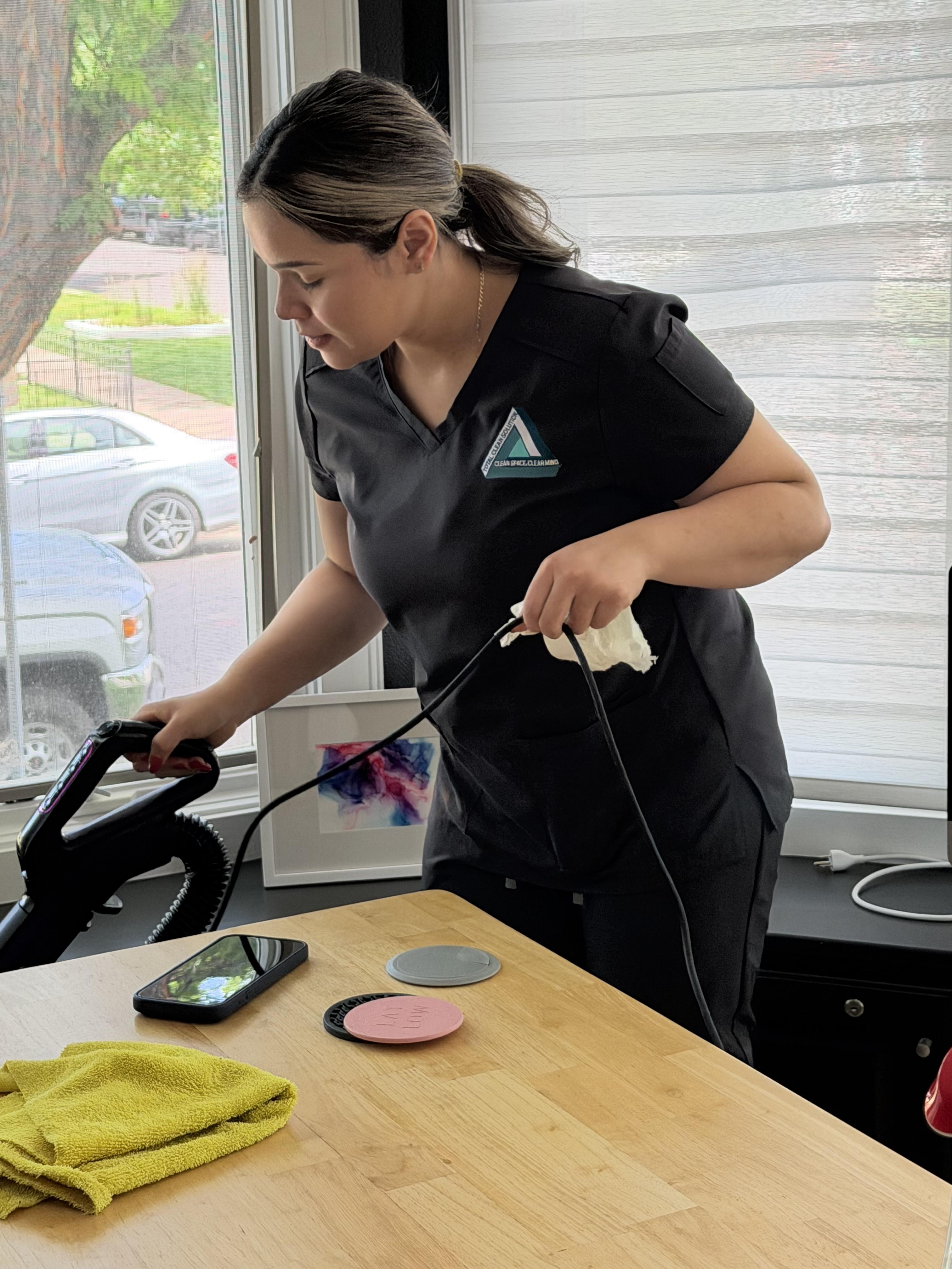 Professional house cleaners training