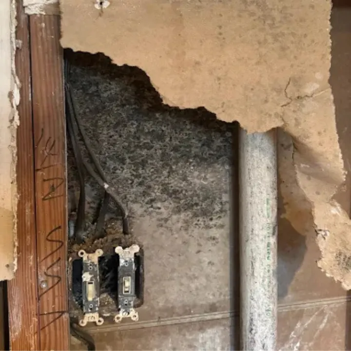 restopros of north houston servicing spring tx area