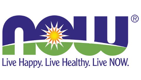 Functional Website DMV