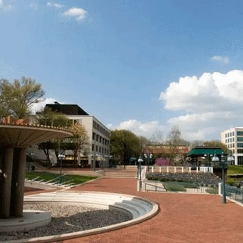 Columbia Functional Website