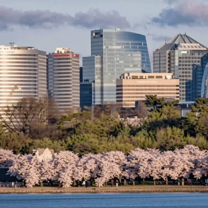 Arlington Functional Website