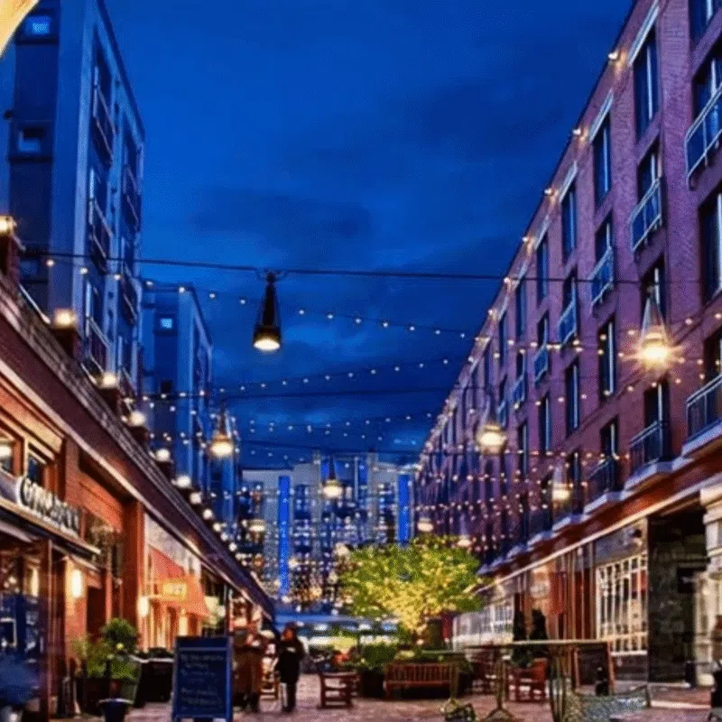 Bethesda Functional Website