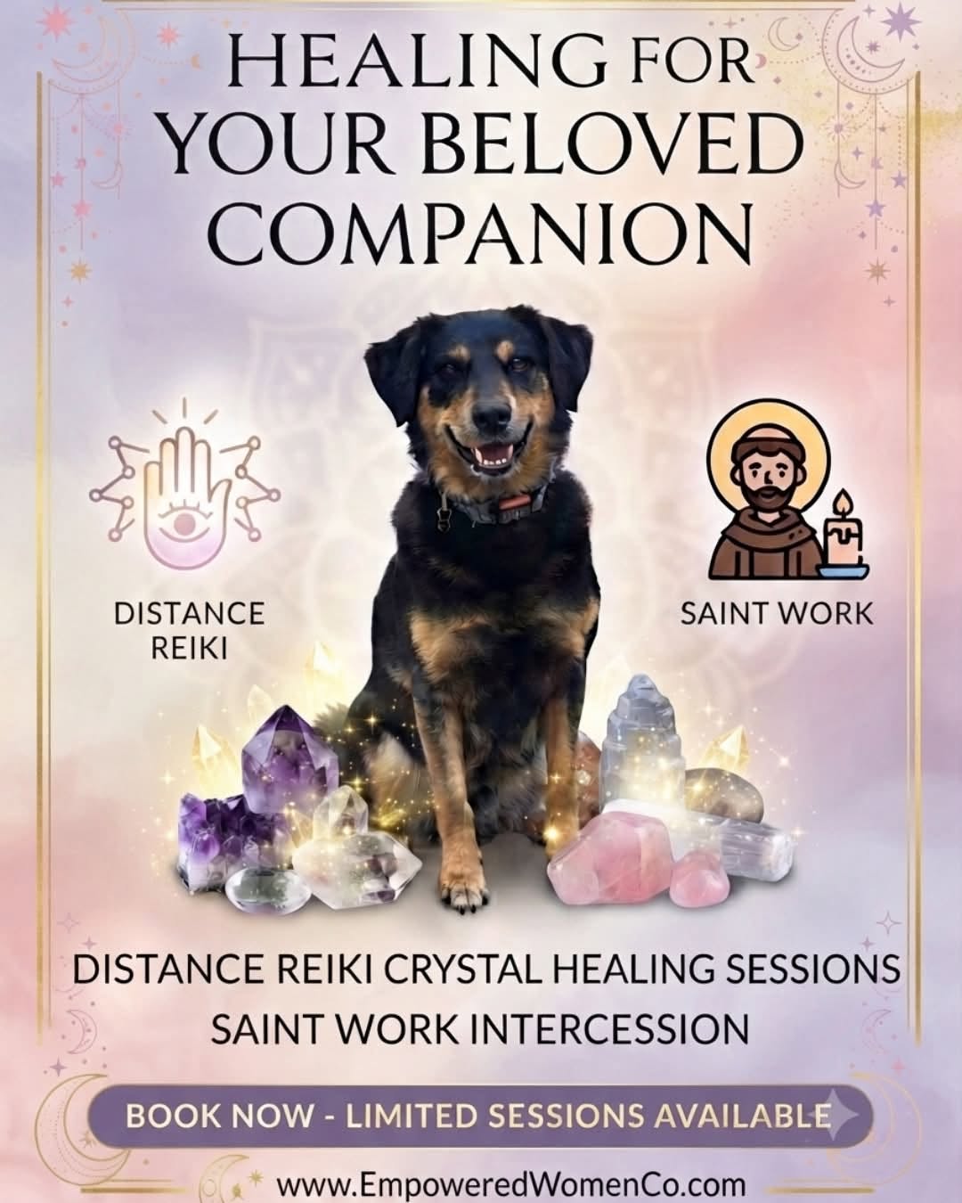 Our Pets Need Healing Too