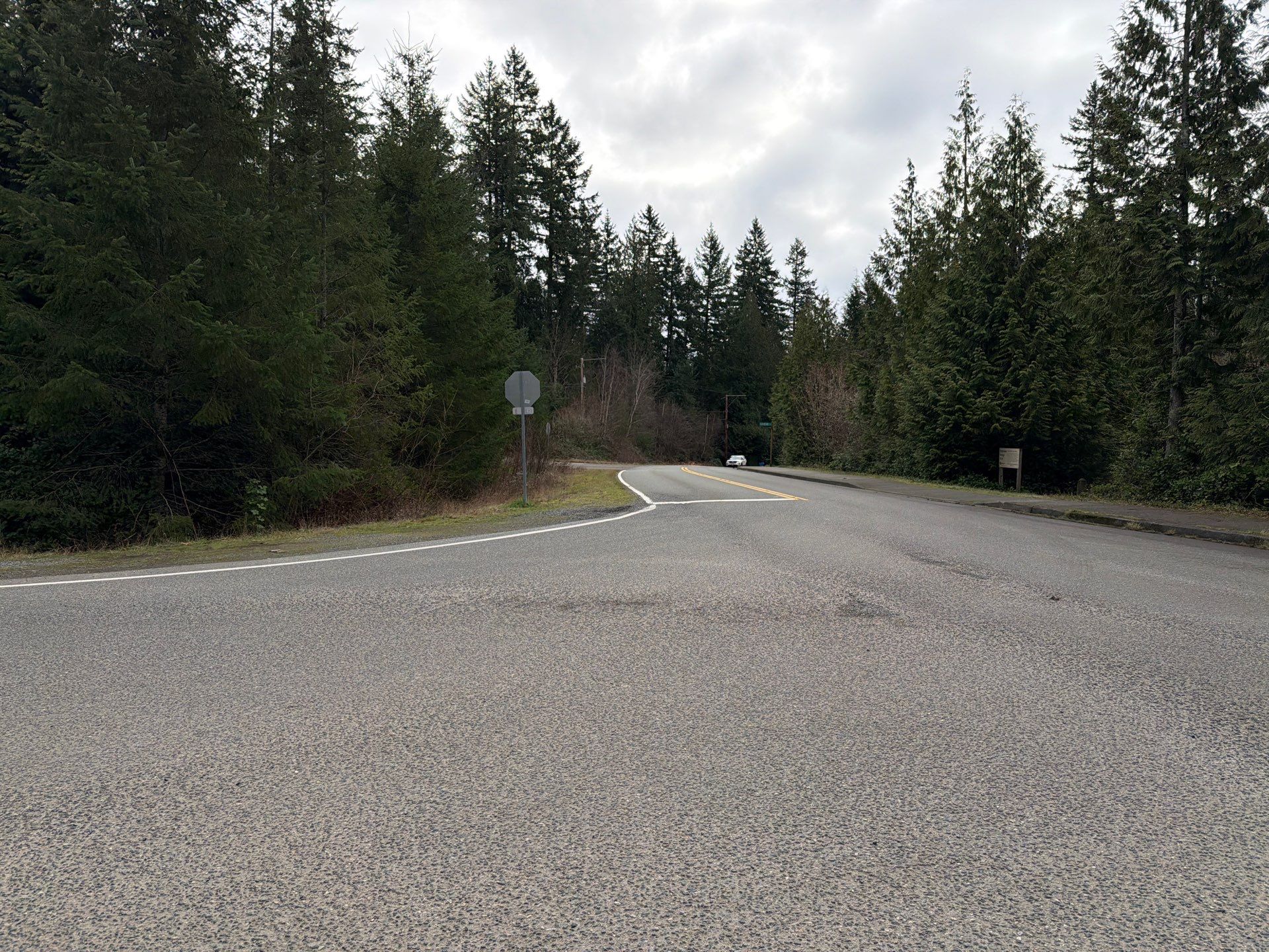 Roof inspection and cleaning service