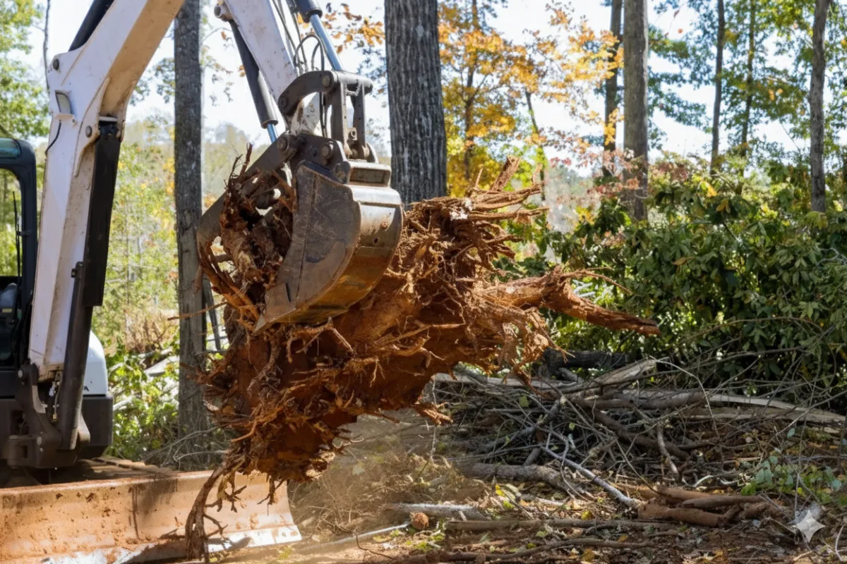 root removal using truck