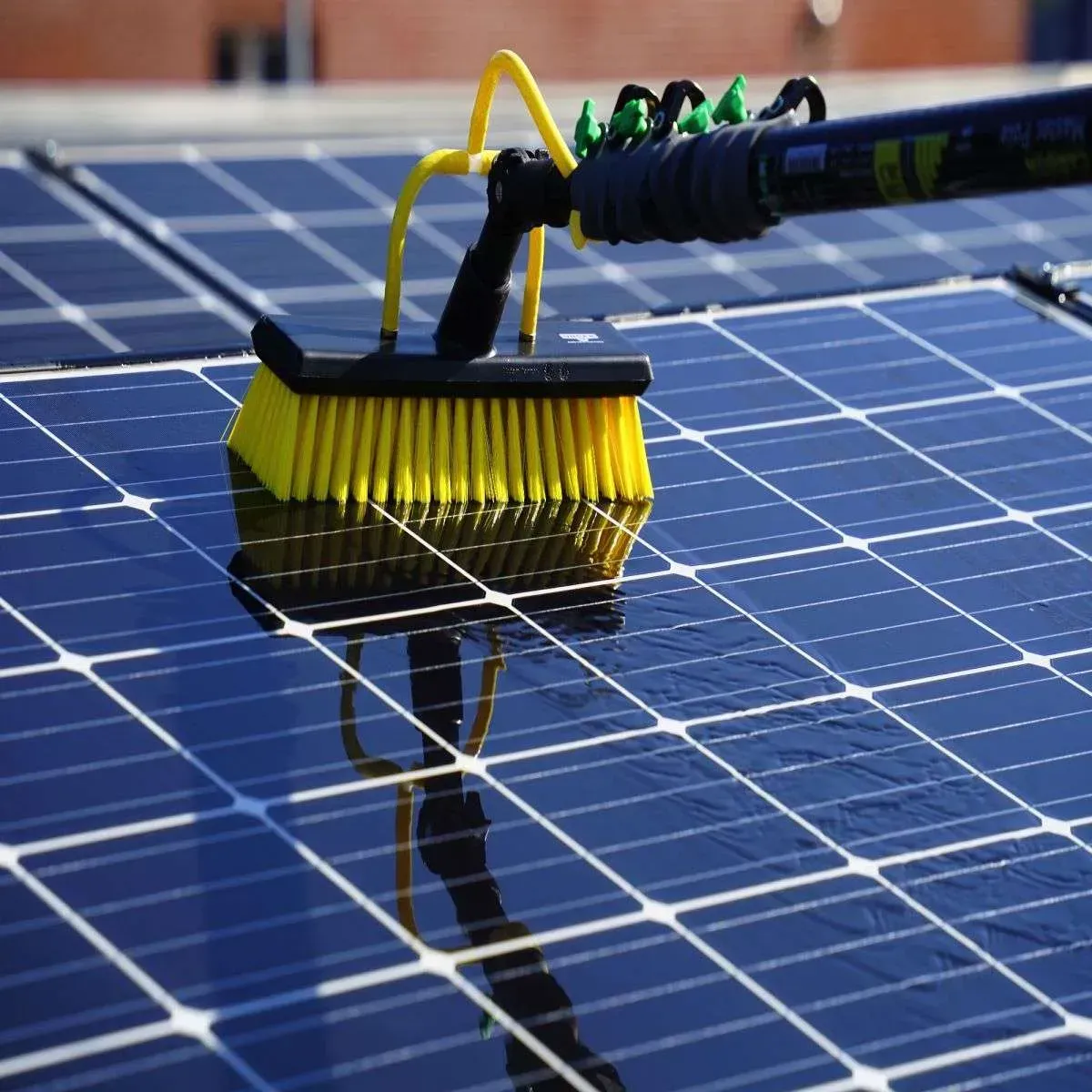 bride and groom walking on pathway